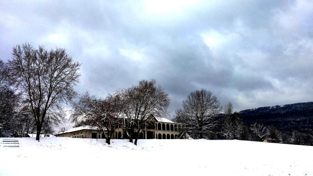 Elder Mountain Room At Tennessee Riverplace Chattanooga Exterior foto